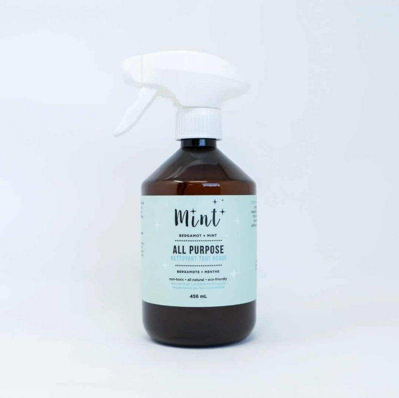 Mint Cleaning - All Purpose Cleaner - 456ml