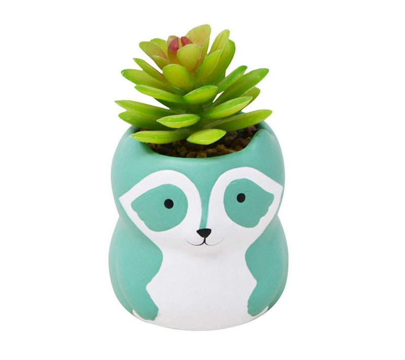 Racoon Planter - Green W/Plant