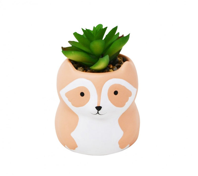 Racoon Planter - Apricot W/Plant