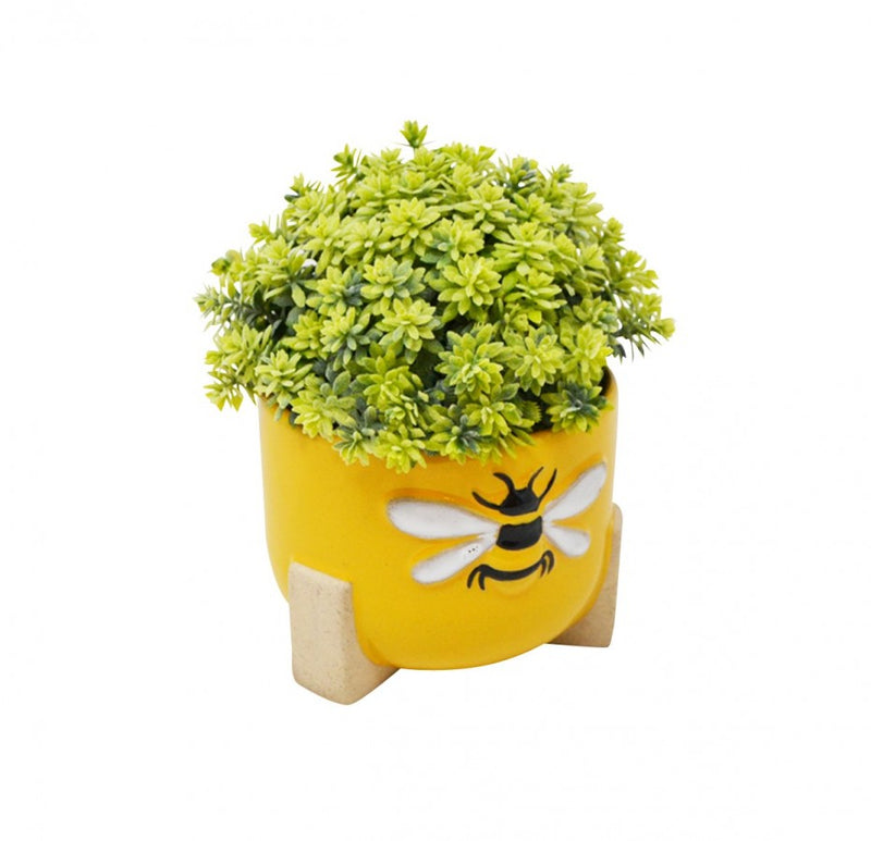 Sedum Bee Pot