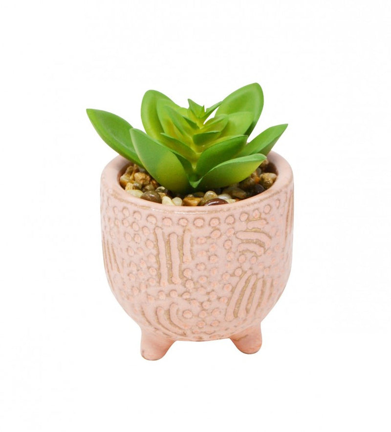 Pink Pot W/Plant