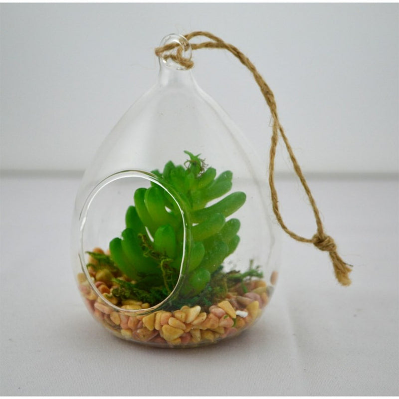 Terrarium Drop With Succulent