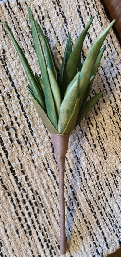 Aloe Plant Decor (small)
