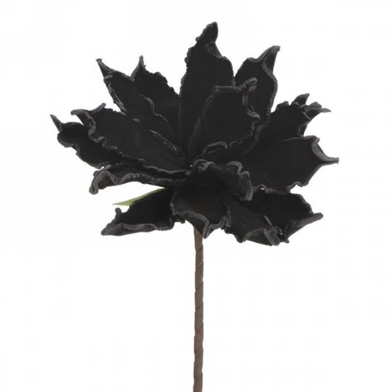 Black Flower Stem