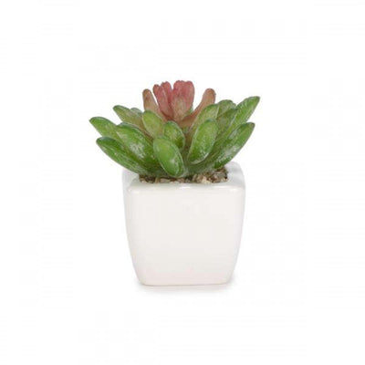 Small Deco Plant