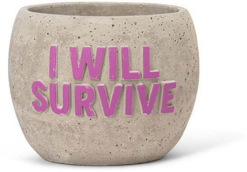 I Will Survive Pot