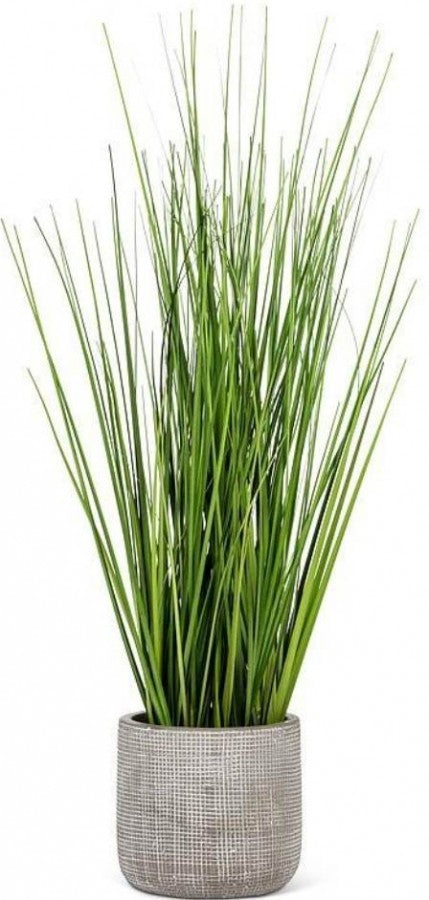 Tall Grass in Grey Pot