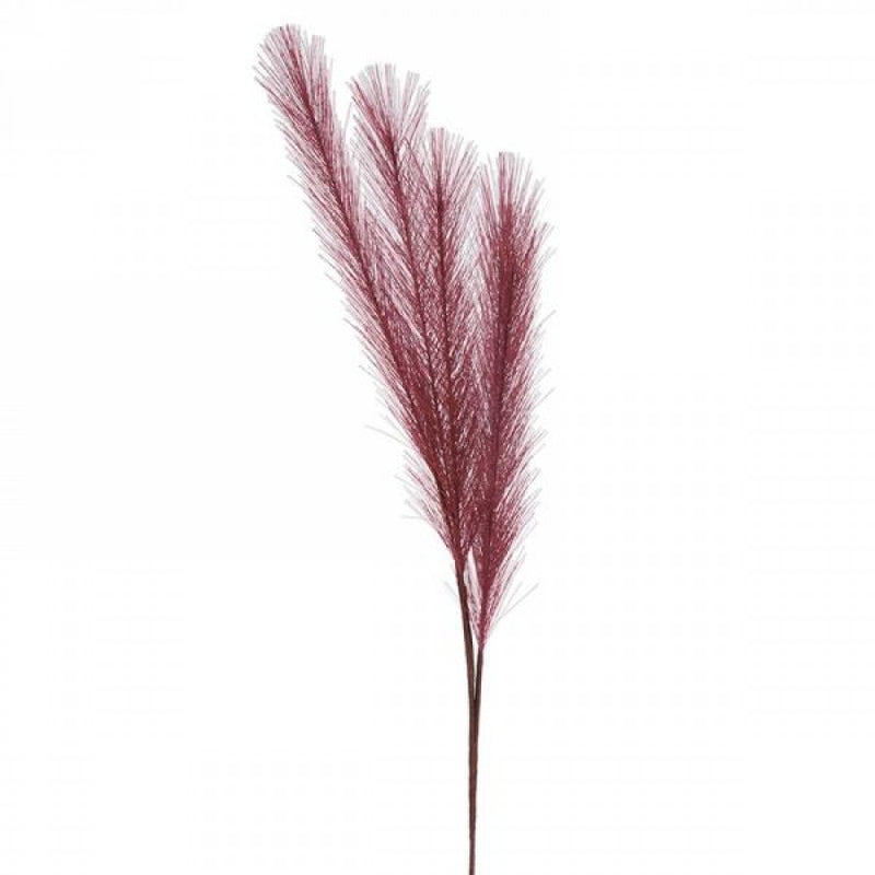 Burgundy Feather Stem