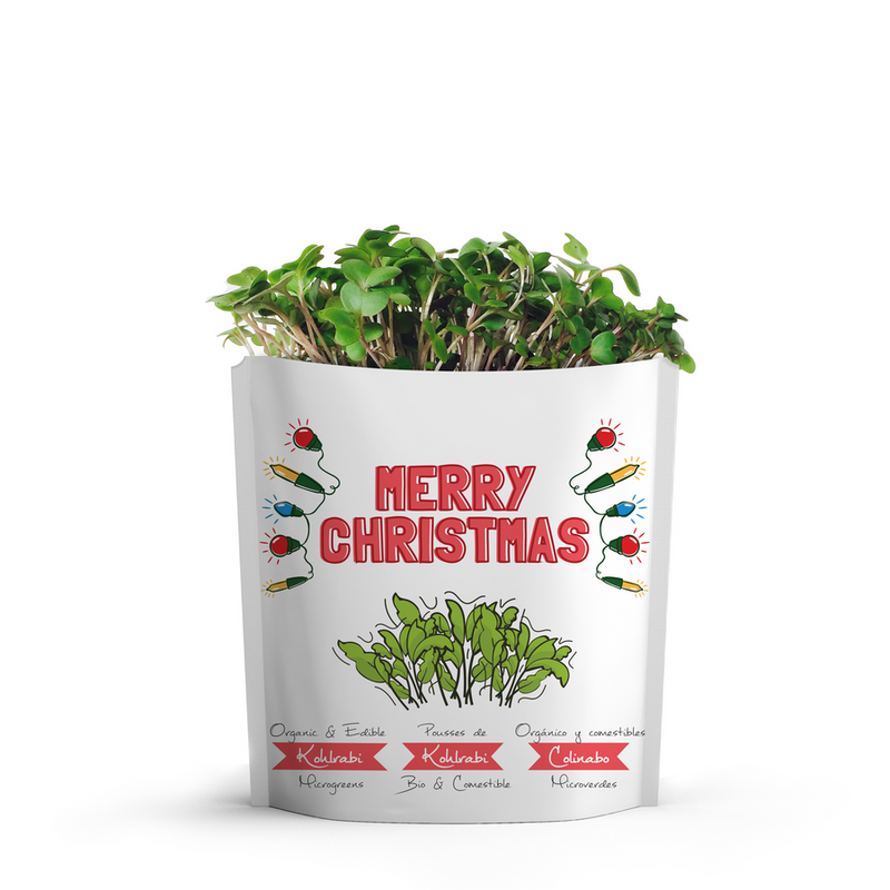 Gift A Green - Merry Christmas