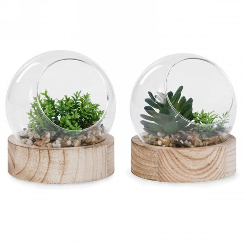 Bubble Terrarium W/Wood base