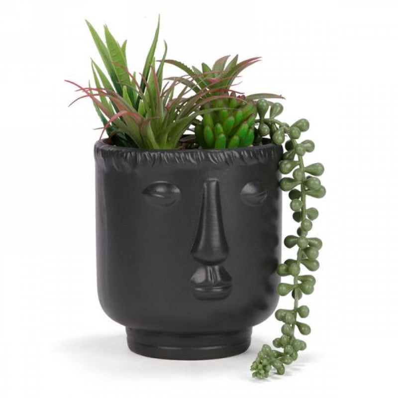 Face Planter w/ Succulents
