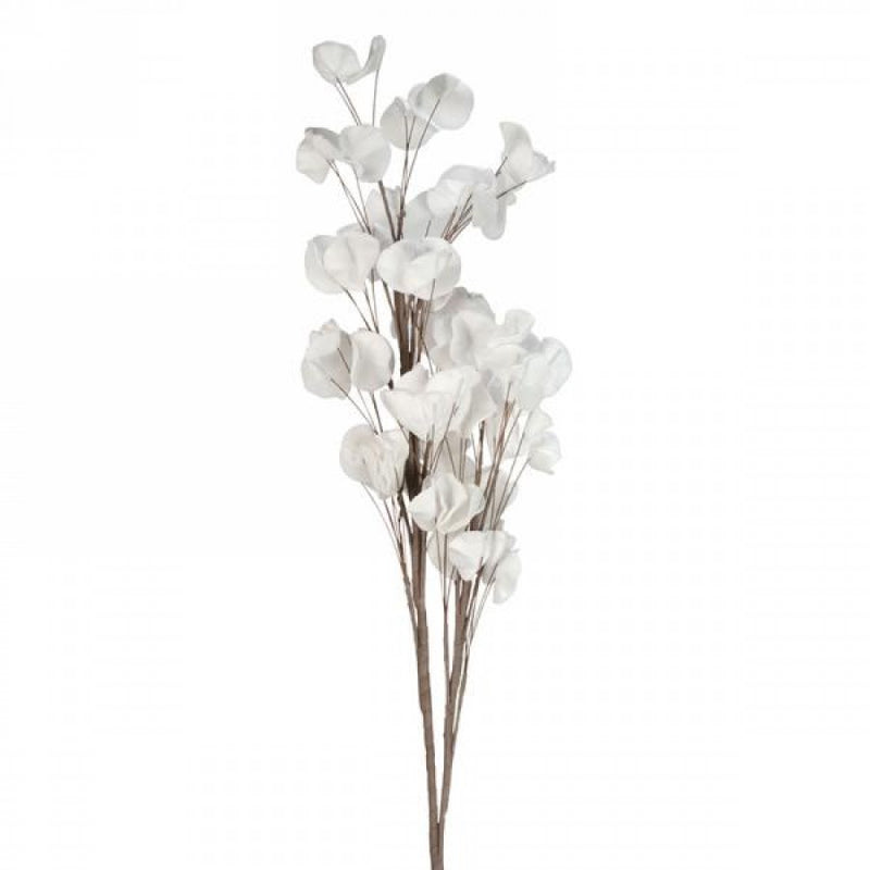 White Bunch Of White Flower Stem