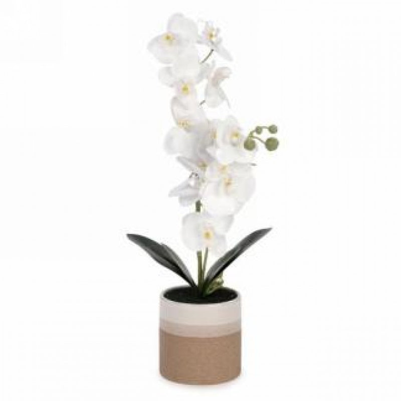 Faux White Orchid Plant